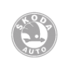 Skoda Logo