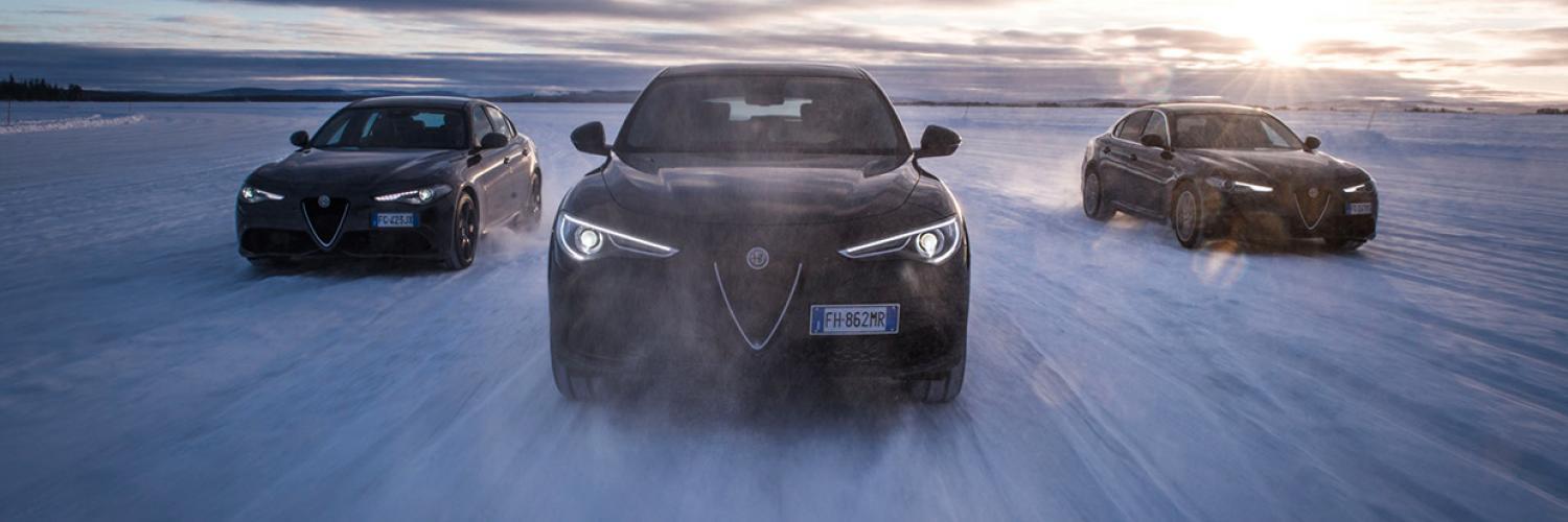 alficka Alfa_romeo_titul