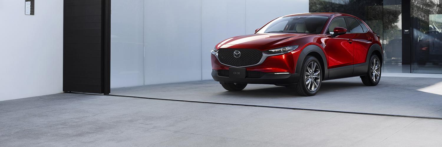 mazdicka_tit mazda_tit