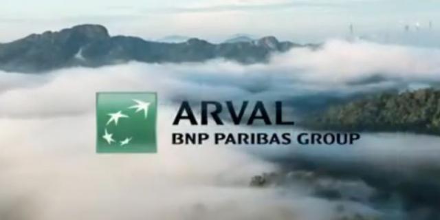 Arva