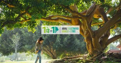 1Ev_tree